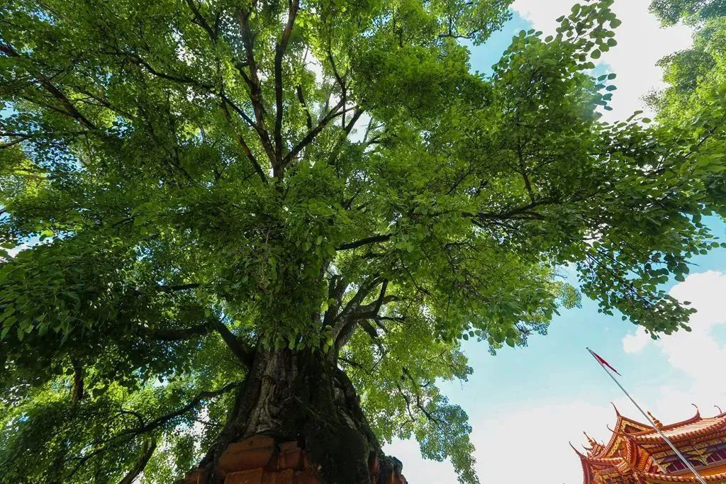 我在北京挺好的演员表