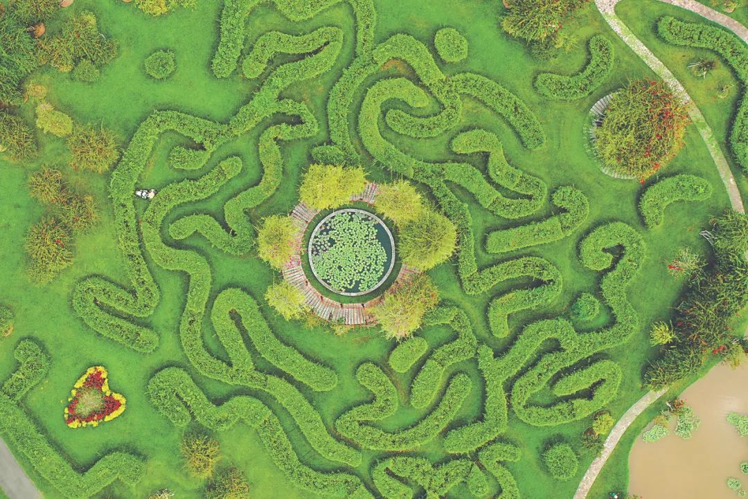 打造研究保护体验功能并重的国家植物园 - 关注森林