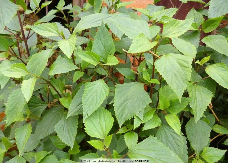 04f8cca881d8444adad804bfd7b3a97e_0035035790463788_b.jpg 04f8cca881d8444adad804bfd7b3a97e_0035035790463788_b.jpg