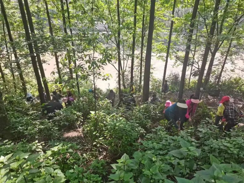 0411dd3cc16d73d08b82043d85aae7c.jpg 0411dd3cc16d73d08b82043d85aae7c.jpg