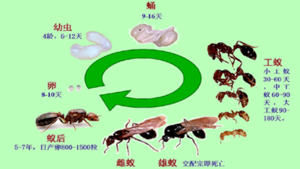 圖片2.png 圖片2.png