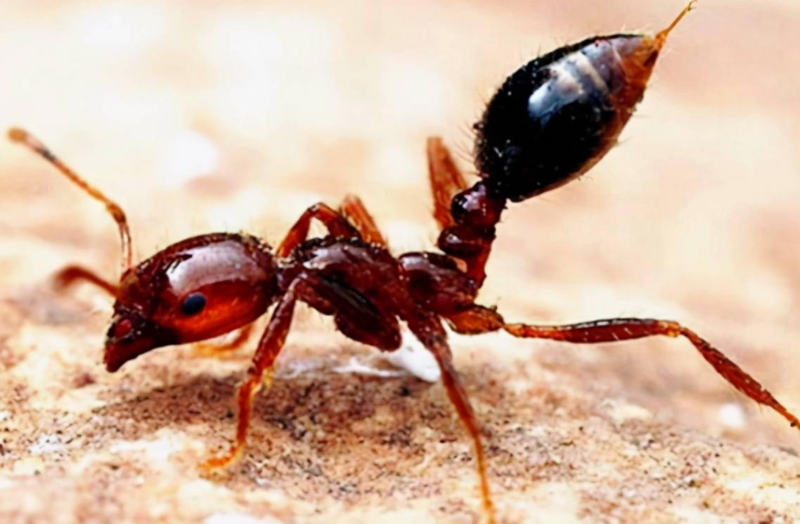 圖片3.png 圖片3.png