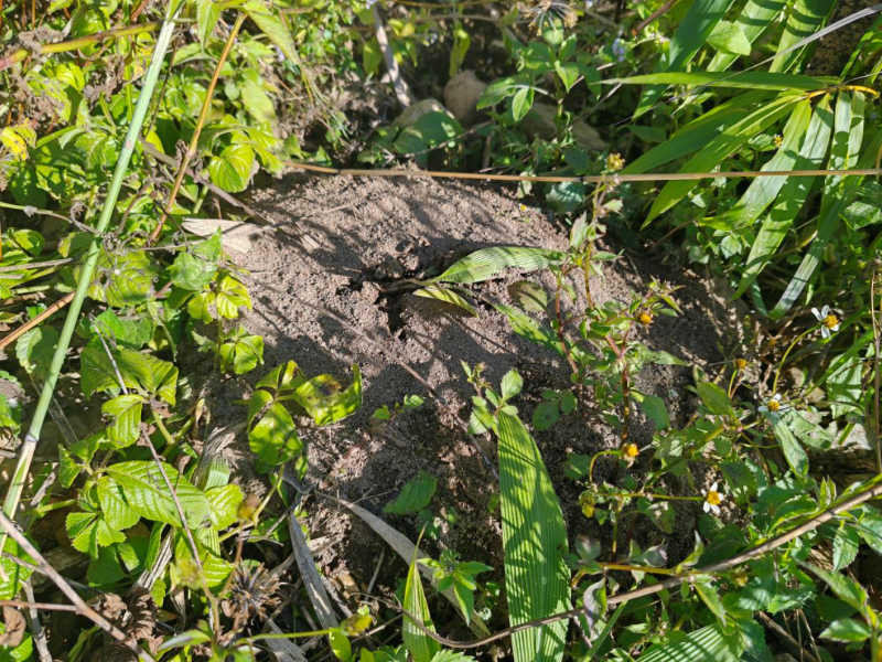 圖片5.png 圖片5.png