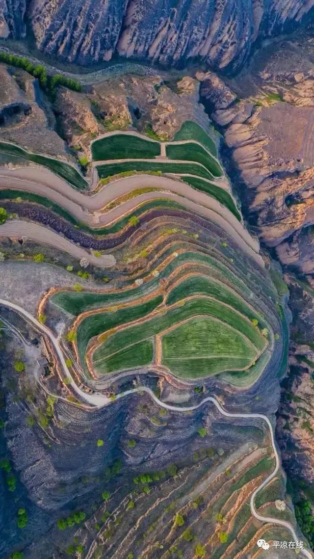 甘肃庆阳西峰梯田