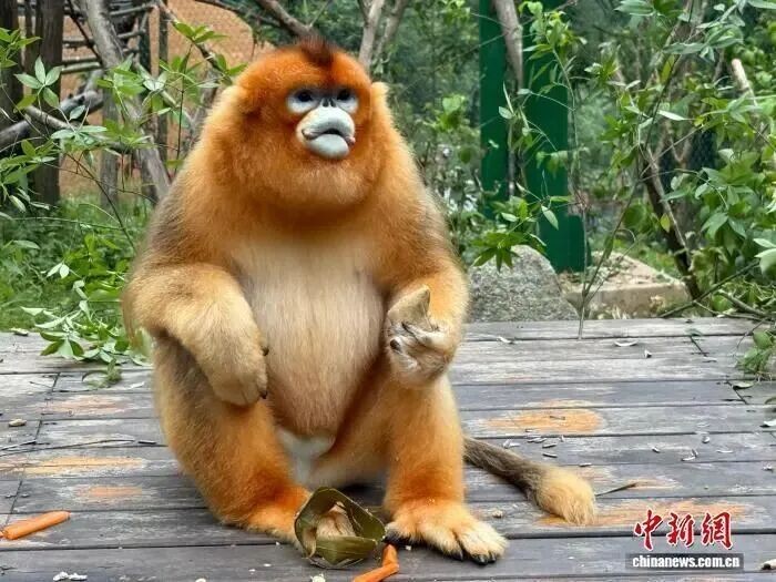 微信图片_2026-06-30_112513_690.jpg