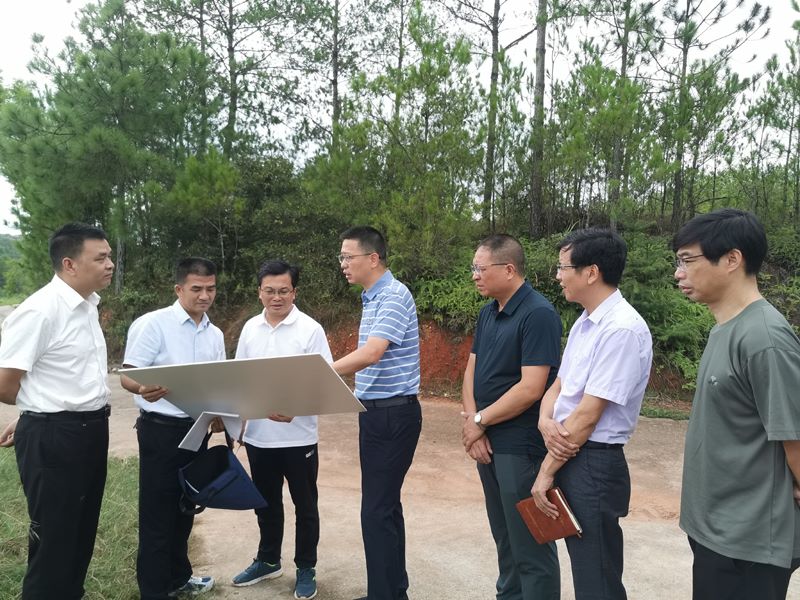 上犹县级副总林长,县委副书记,县长余业伟开展巡林工作