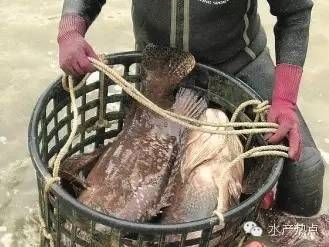 按此在新窗口瀏覽圖片