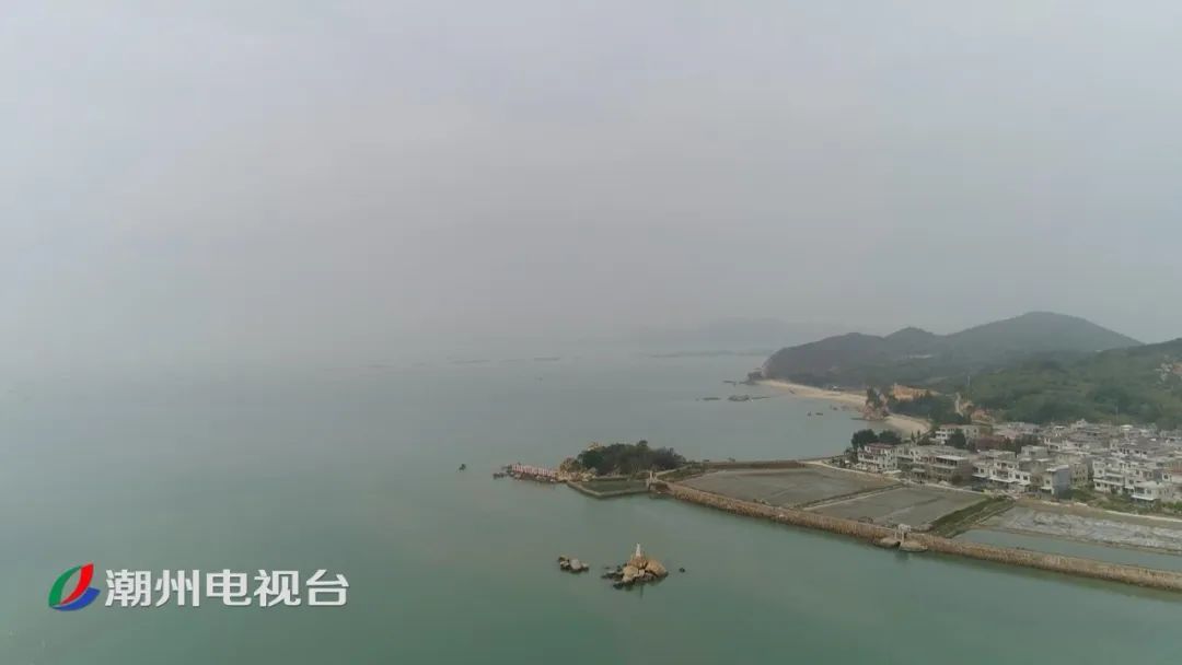 潮州成群海豚现柘林湾海面戏水欢