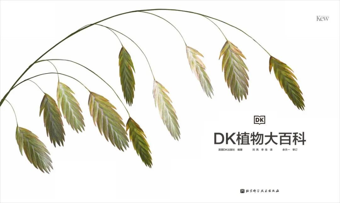 好书推荐| 《DK植物大百科》 _www.isenlin.cn