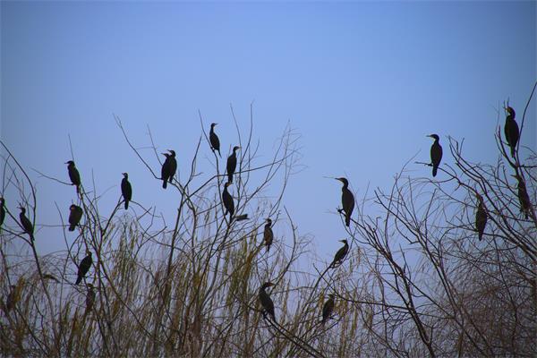 IMG_3728_看图王