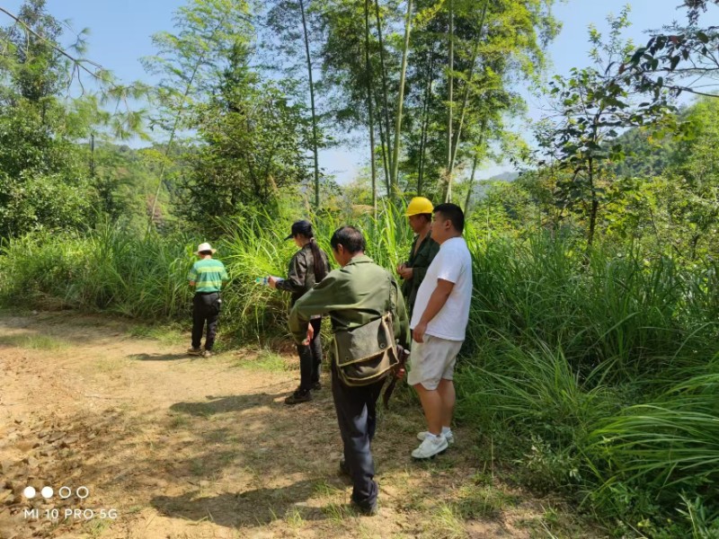 災(zāi)害防治股，林廠營林員及第三方至西源林廠疫木除治驗收