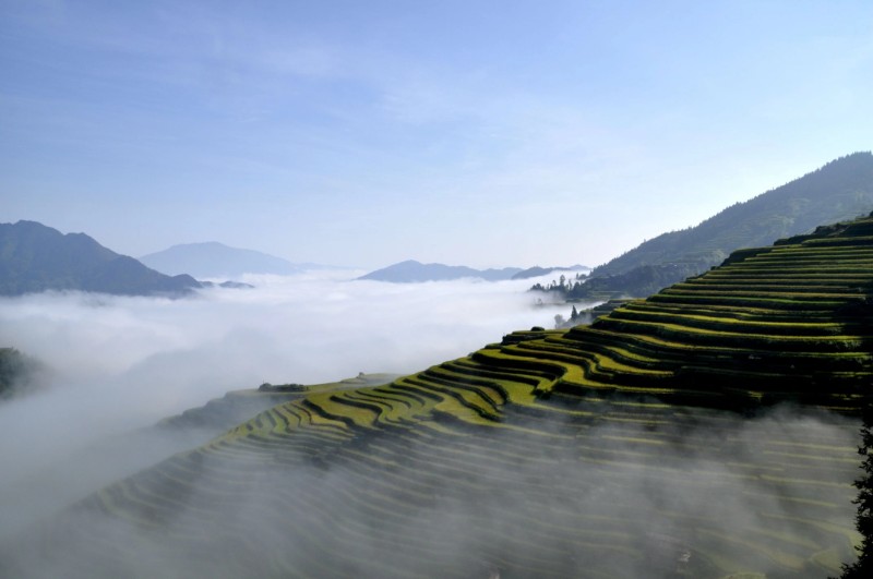 云端上的梯田（攝影：梁明景）