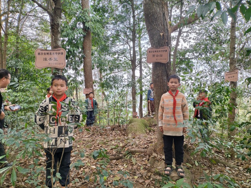 丙妹镇岜沙小学