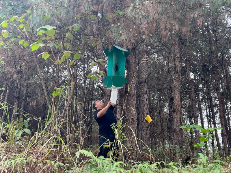 1.图一：贵州省从江县林业灾害防治站技术人员正在检查松褐天牛诱捕器