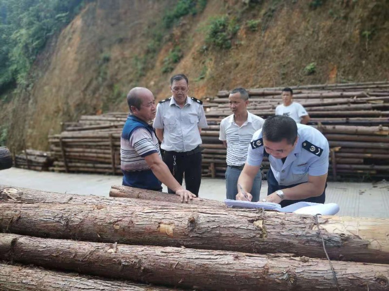 4.图四：贵州省从江县开展松材线虫病疫木联合执法行动