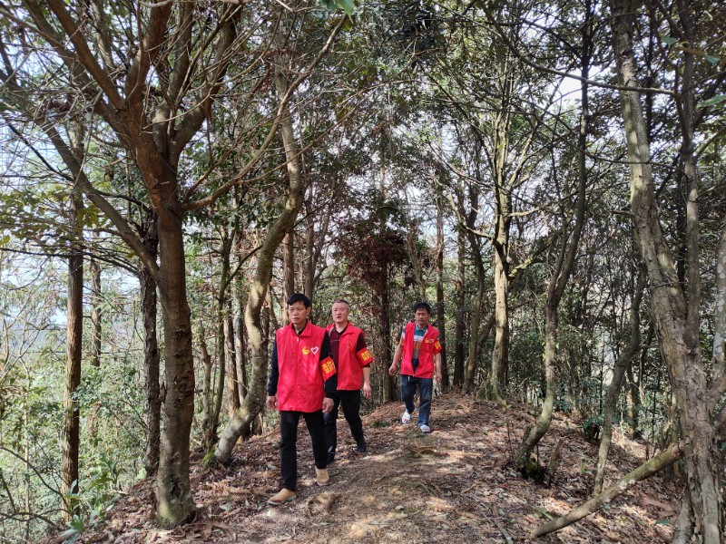 图四：2024年清明期间从江县生态护林员在林间巡护（提供：陈灵）
