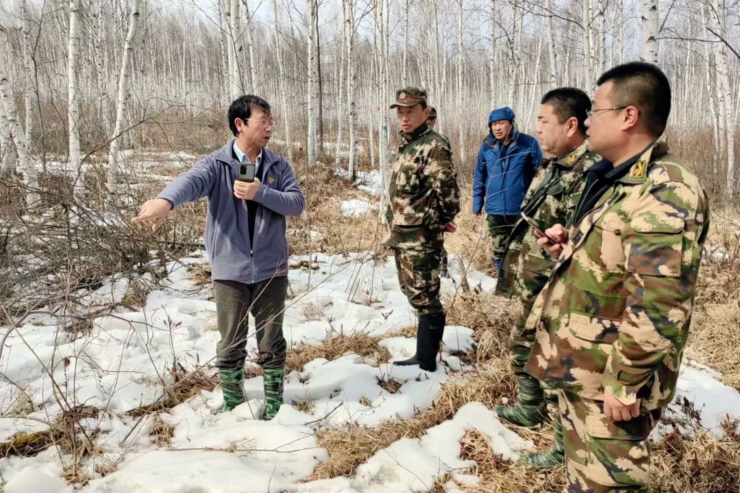 国家林草局林草调查规划院核查组深入塔河林业局开展森林抚育成效监测评估工作 …