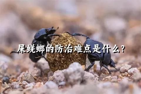 屎蜣螂的防治难点是什么？