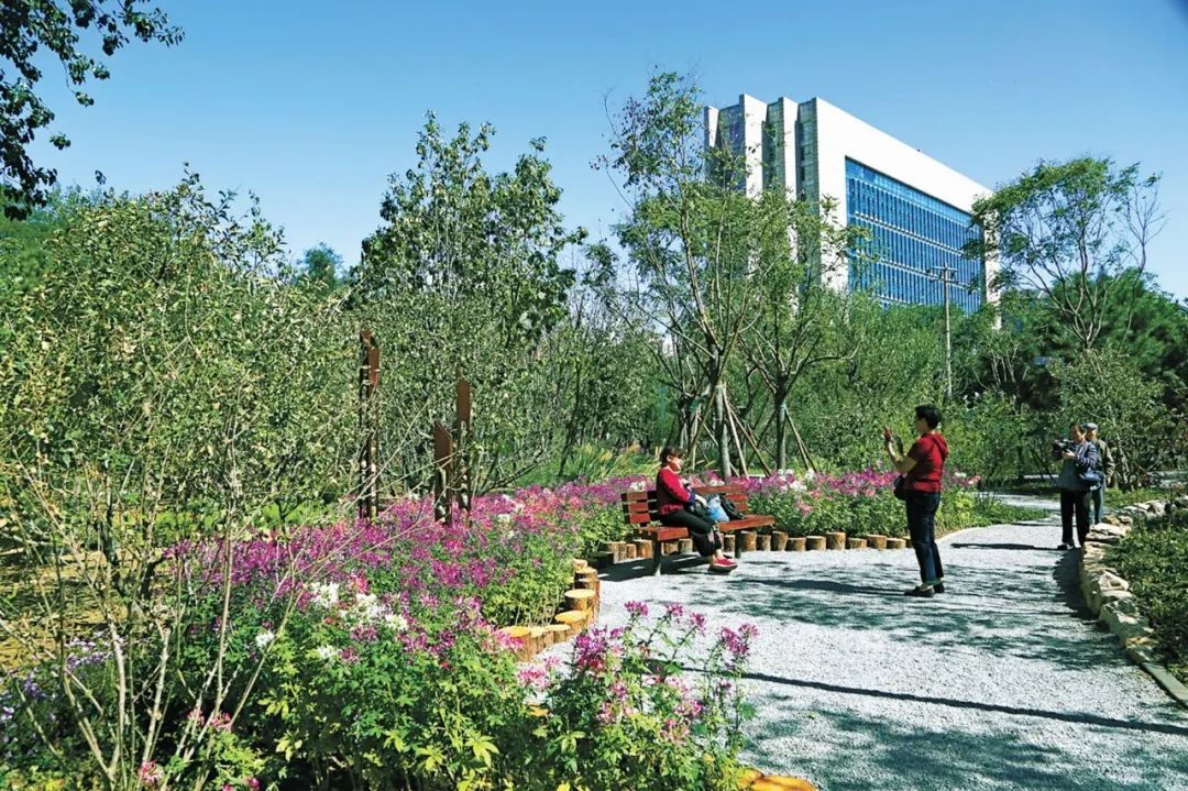 北京：营造近自然森林 建设和谐宜居生态之都 - 关注森林