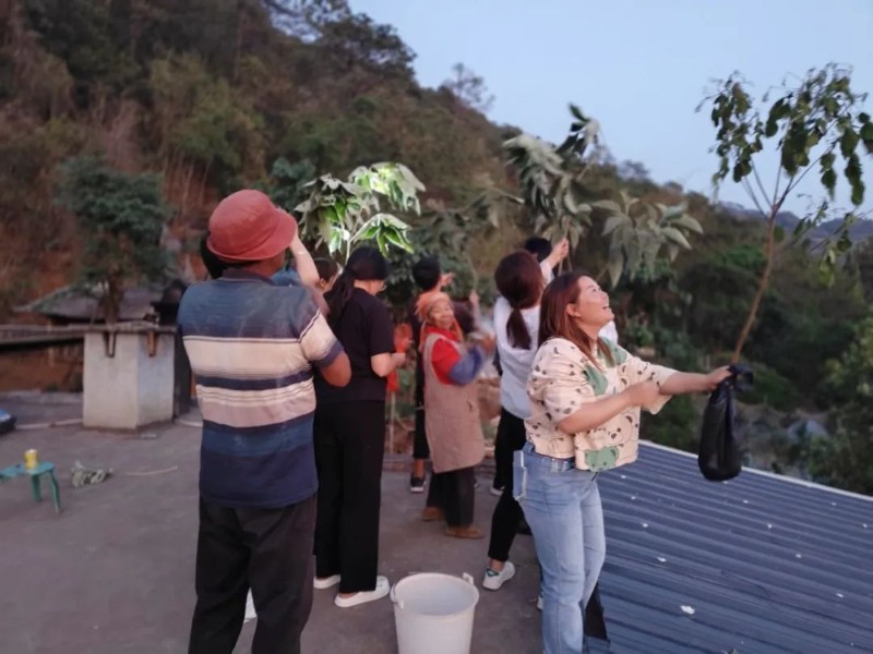 IMG20240425195446.jpg