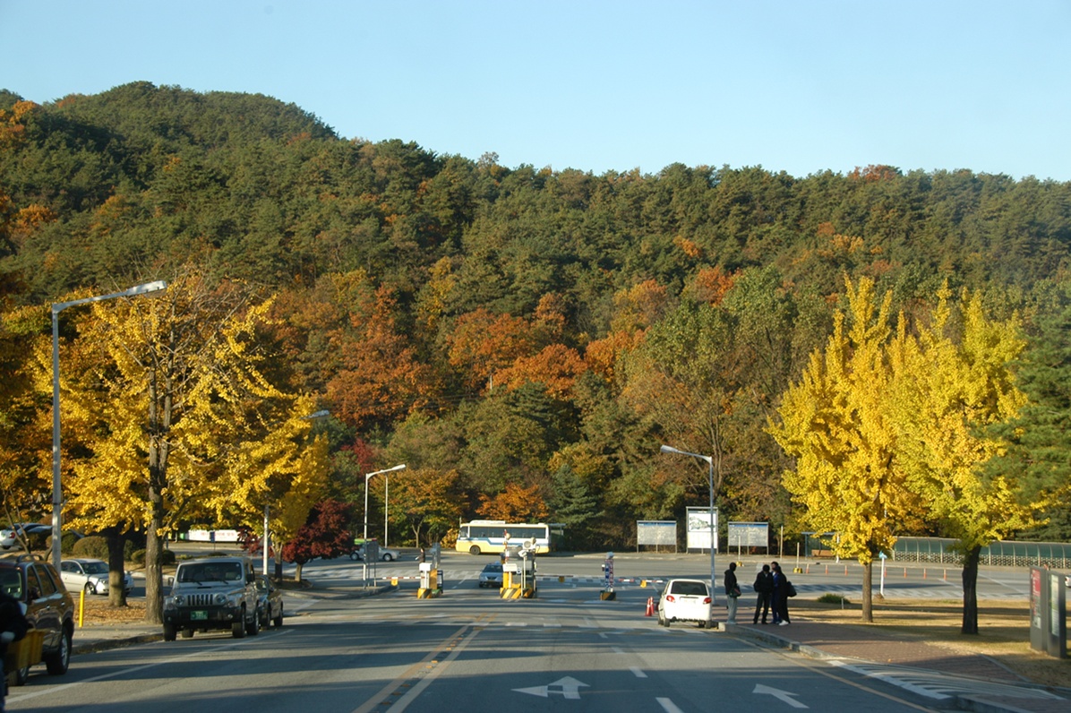 韩国掠影7-首尔大学