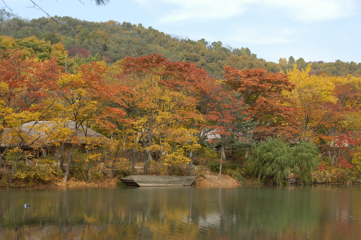 韩国9-南山公园5