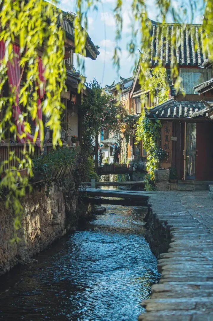麗江古城管理局 供圖.jpg