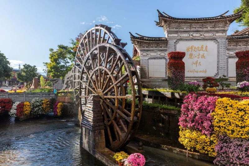 圖片