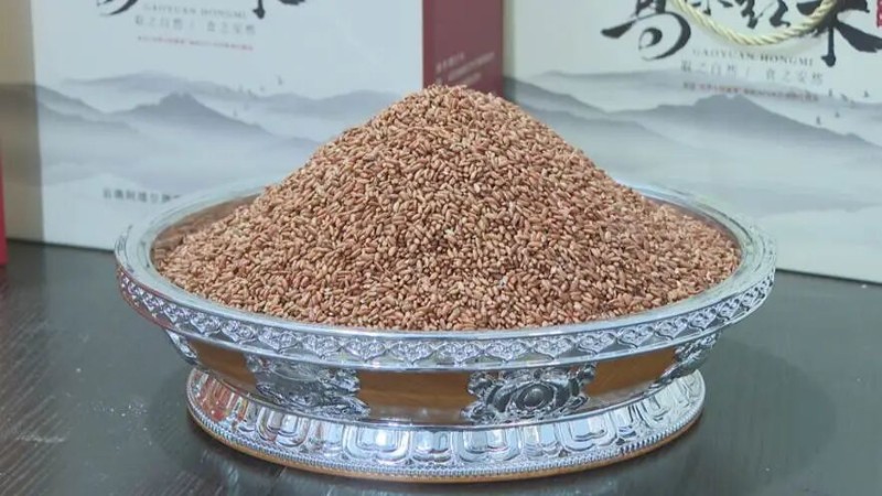 高原紅米
