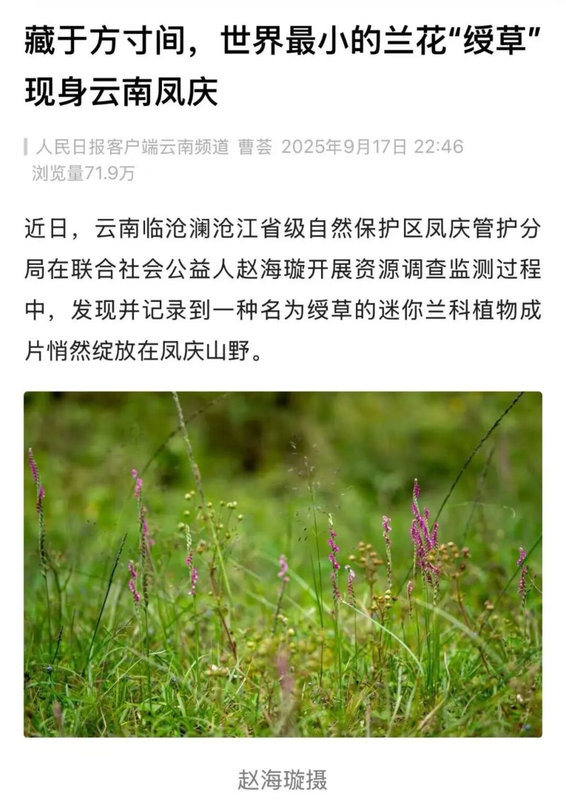 cd1b791f3d33eb464663e31ee5ed94a8.jpg