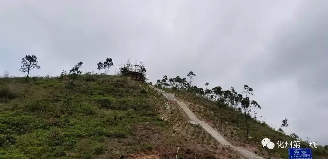 茂名化州石龙山森林公园建设进展顺利