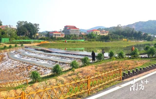 观珠镇以产业兴旺带动乡村发展。