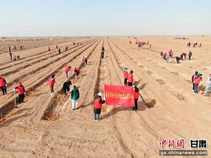 圖為金昌市金川區(qū)綠洲邊緣經濟型生態(tài)防護林義務植樹現(xiàn)場。(資料圖)金昌市林草局供圖