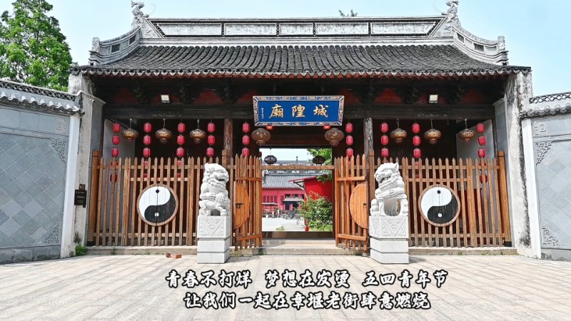 视频预览图
