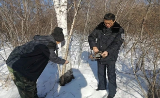 巡山清套 (1)_副本