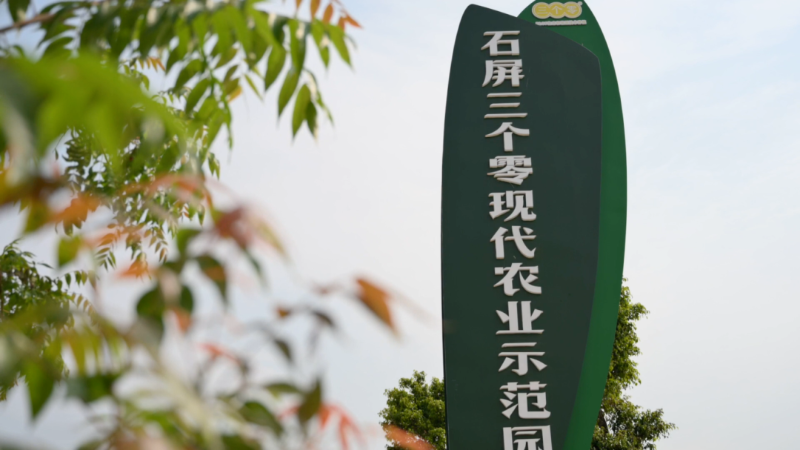 四個(gè)農(nóng)業(yè)助力高原湖泊農(nóng)業(yè)面源污染防治[00_00_05][20250916-090459].png