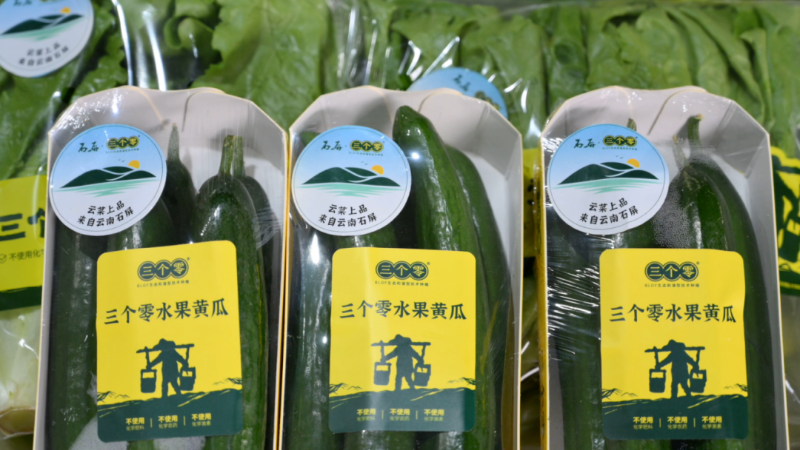 四個(gè)農(nóng)業(yè)助力高原湖泊農(nóng)業(yè)面源污染防治[00_14_12][20250918-171643].png