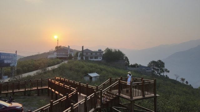 忙肺茶山.jpg