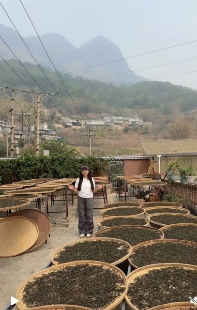 茶農(nóng)李建蘭4.jpg
