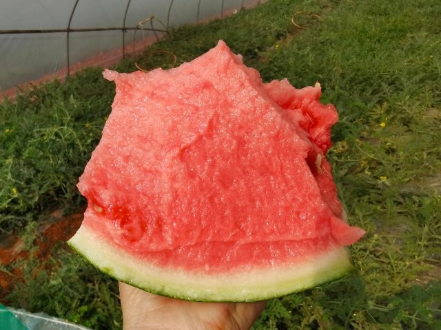 微信圖片_202504301019451.jpg