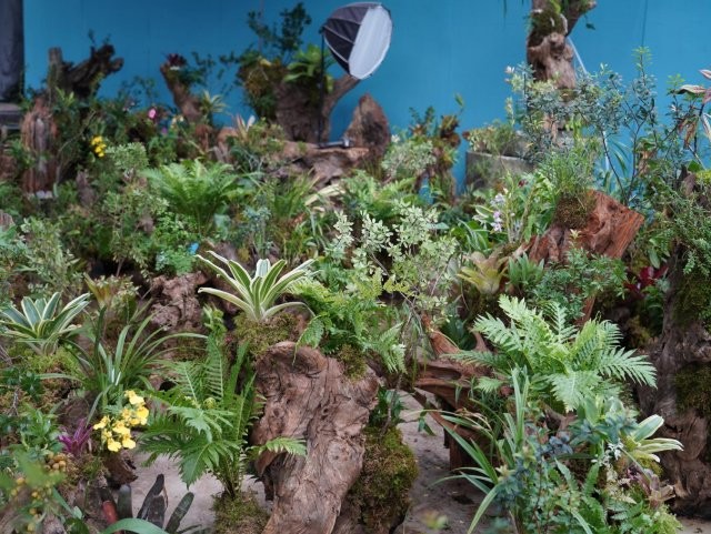 綠植產品.JPG