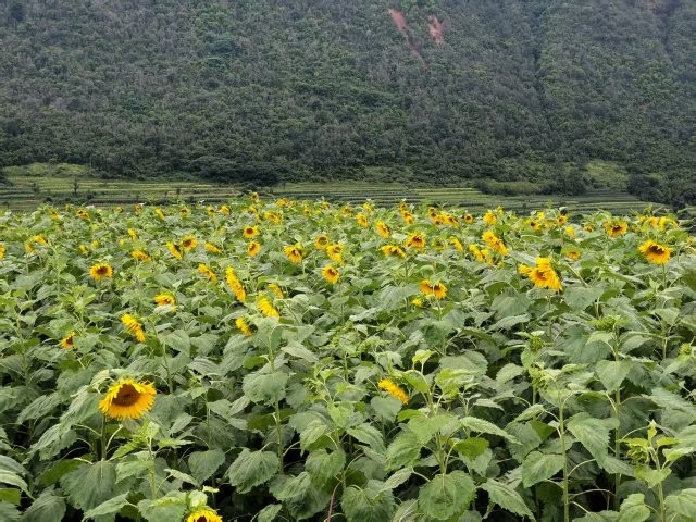 微信圖片_20250905104803_8_104.jpg