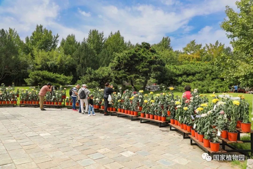 双节去哪里?国家植物园游园攻略请您查收 - 关注森林