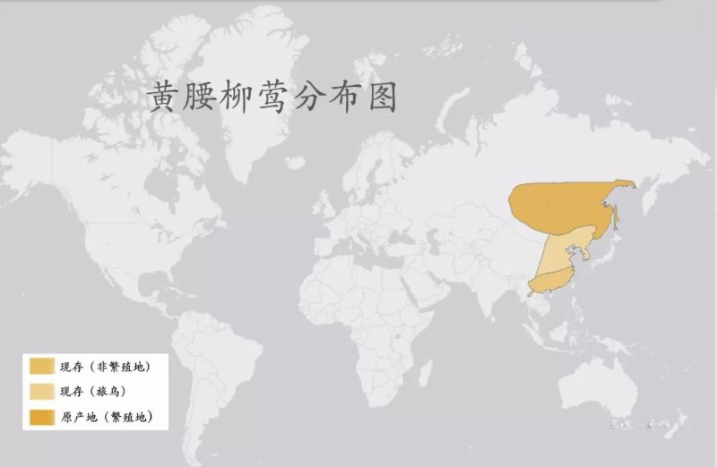 微信图片_20191213093720