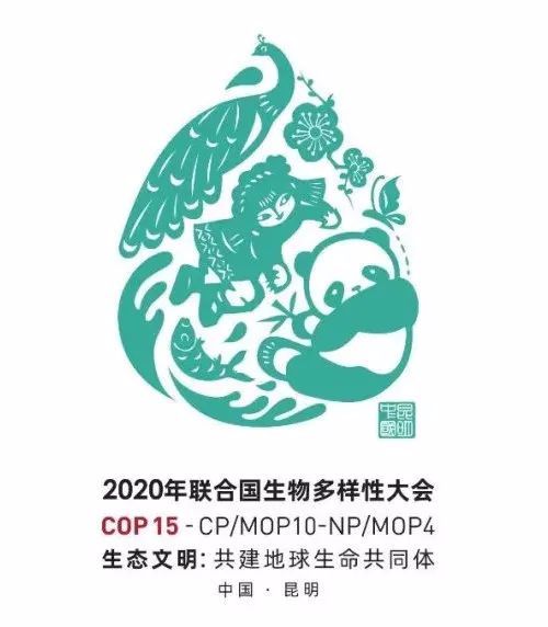 综合动态联合国《生物多样性公约》第十五次缔约方大会(cop15)筹备