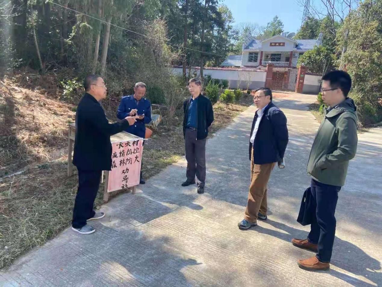 琴江镇,珠坑乡,瑞金市日东乡,壬田镇罗汉岩风景名胜区,福龙寺,了解