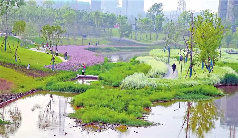 赣州蓉江新区十里花溪公园景观