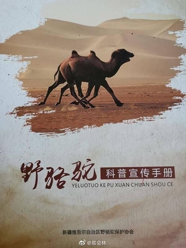 新疆野骆驼保护协会利用中秋假期举行座谈