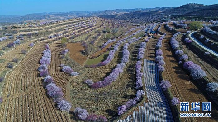 宁夏固原市彭阳县金鸡坪梯田公园(2017年4月13日摄) 新华社记者 王鹏