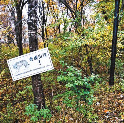 虎豹出没 国家公园怎么建